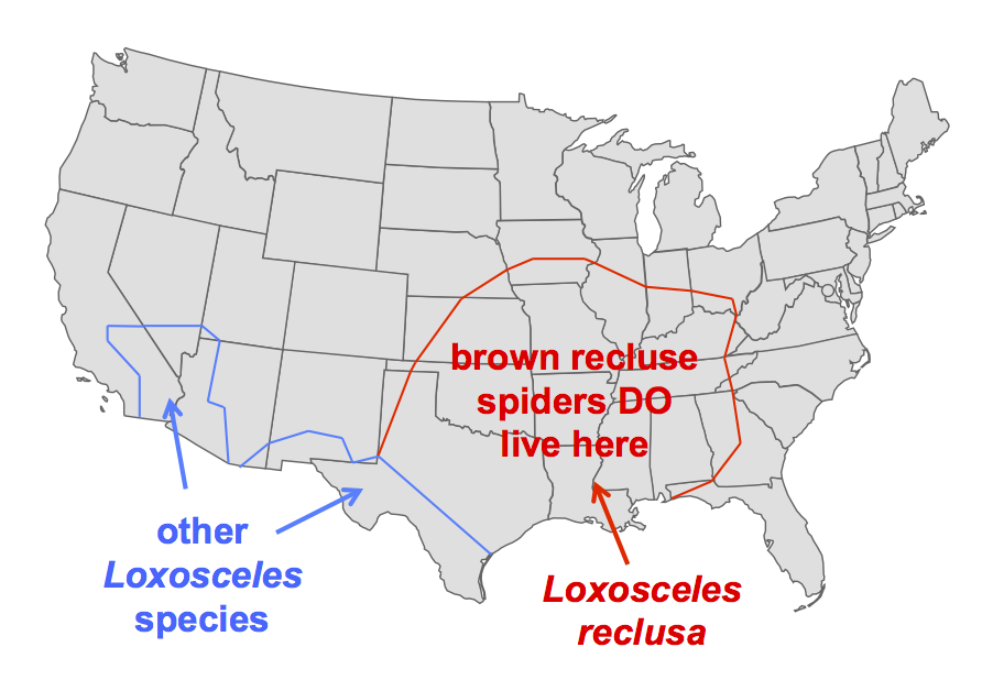 recluse_map_no_text